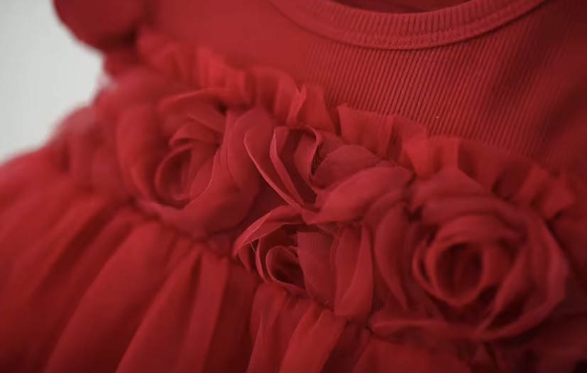 Vestido bordo con detalles de rosas 🌹  3613